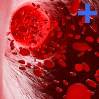 Thumbnail for Anemia Panel +