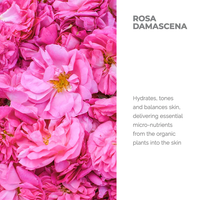 Thumbnail for Organic Bulgarian Rose Water