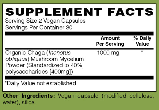 Chaga Mushroom