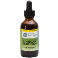 Thumbnail for Echinacea Goldenseal - My Village Green