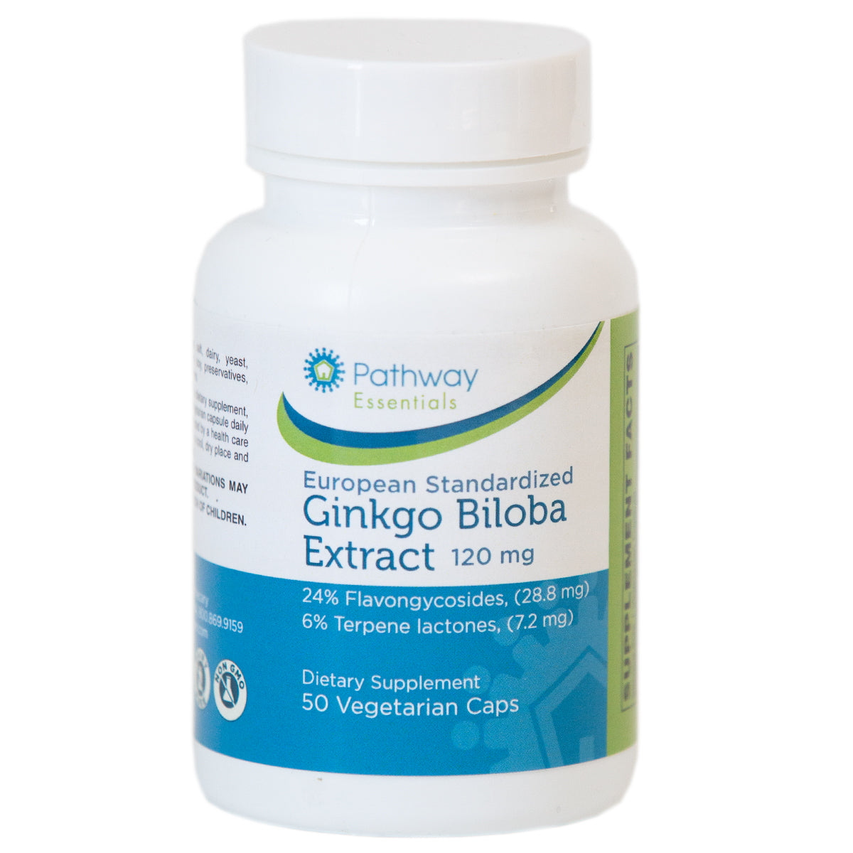 Ginkgo Biloba Extract 120MG