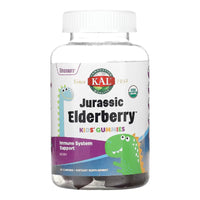 Thumbnail for Kids Jurassic Elderberry Gummies Berry