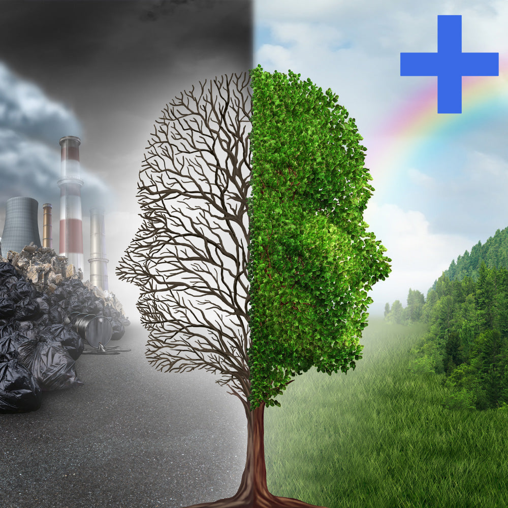 TOX Profile (Toxic Non-Metal Chemicals) +